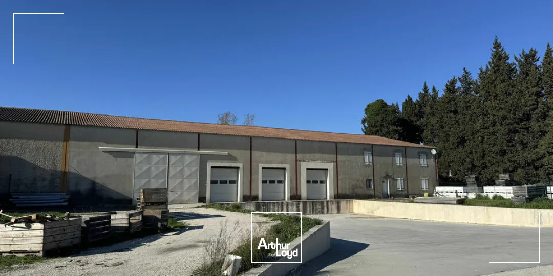 Locaux d'activité & Entrepôts - Vente - NOVES - 13550 - 1600-1600 - 7664945