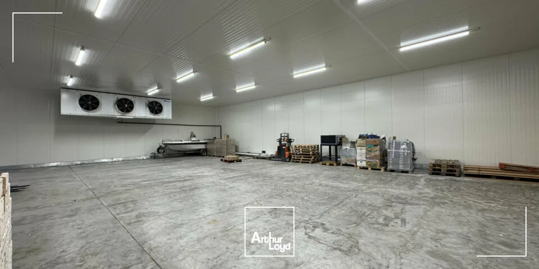 Locaux d'activité & Entrepôts - Vente - NOVES - 13550 - 1600-1600 - 7664949