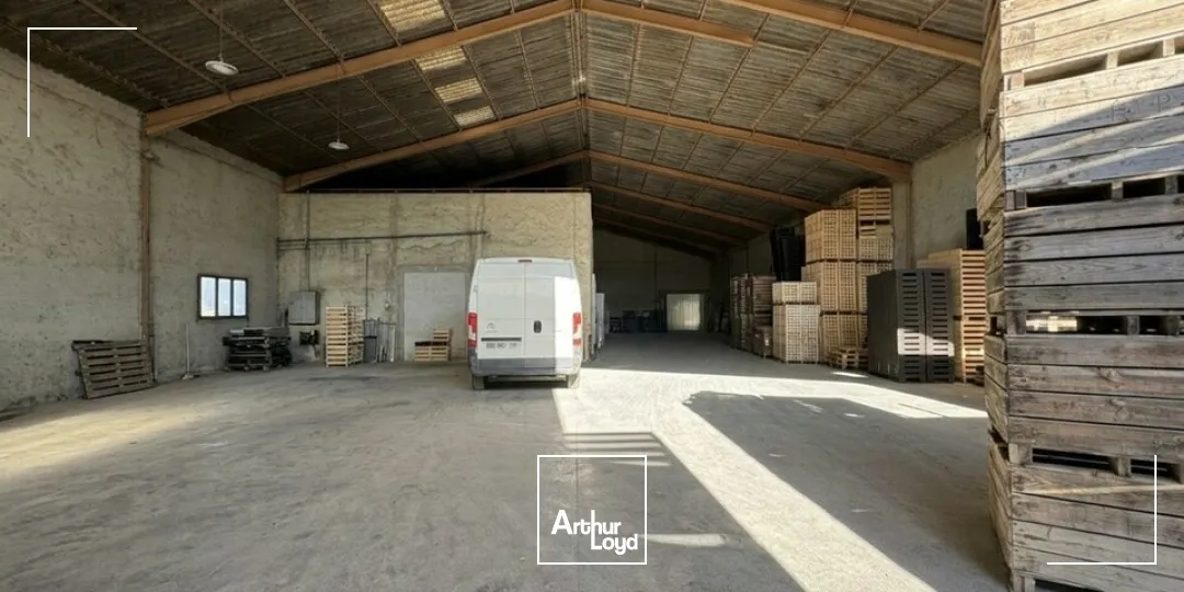 Locaux d'activité & Entrepôts - Vente - NOVES - 13550 - 1600-1600 - 7664951