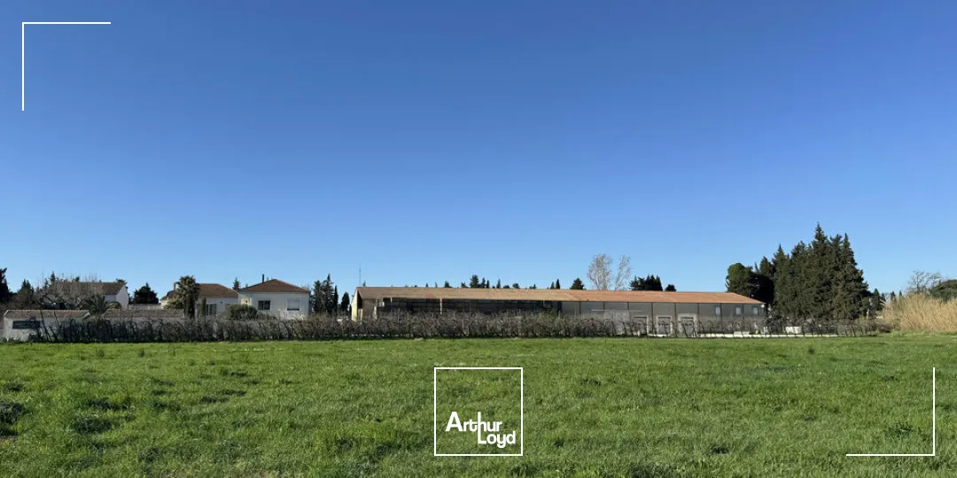 Locaux d'activité & Entrepôts - Vente - NOVES - 13550 - 1600-1600 - 7664952