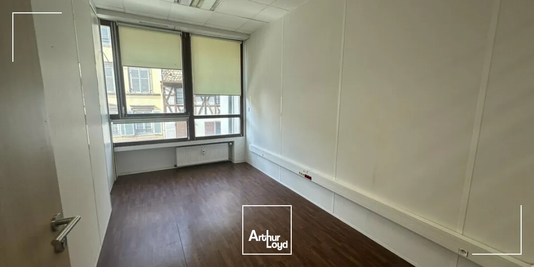 Bureaux - Vente - STRASBOURG - 67000 - 838-838 - 7665005