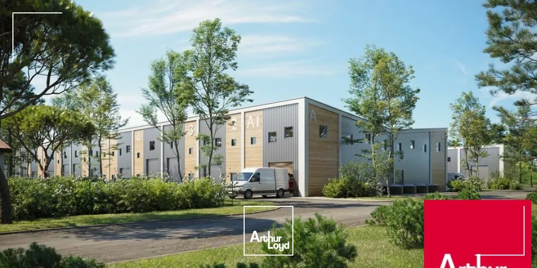 Locaux d'activité & Entrepôts - Vente - SAINT-VINCENT-DE-TYROSSE - 40230 - 147.01-147.01 - 7665055