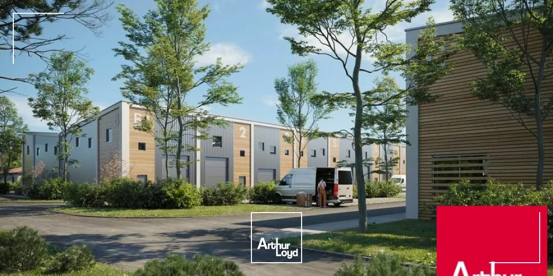 Locaux d'activité & Entrepôts - Vente - SAINT-VINCENT-DE-TYROSSE - 40230 - 141.05-141.05 - 7665099