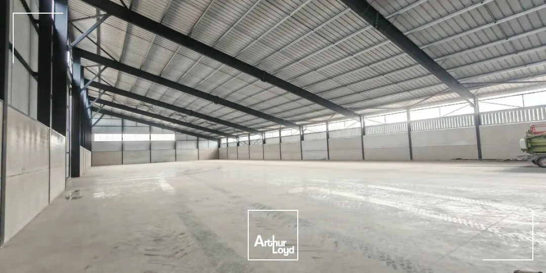 Locaux d'activité & Entrepôts - Location - ÉPENSE - 51330 - 2100-4500 - 7665158