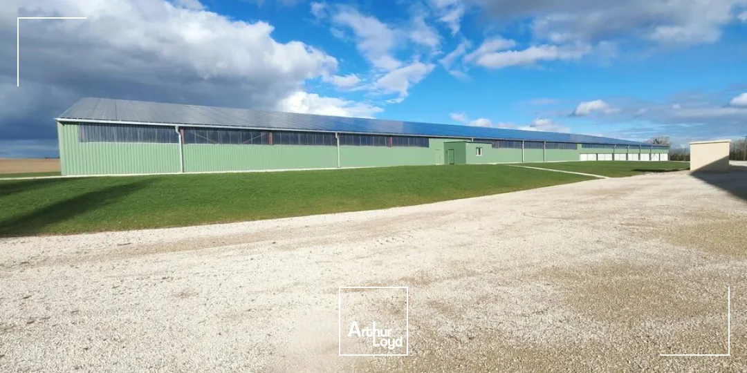 Locaux d'activité & Entrepôts - Location - ÉPENSE - 51330 - 2100-4500 - 7665155