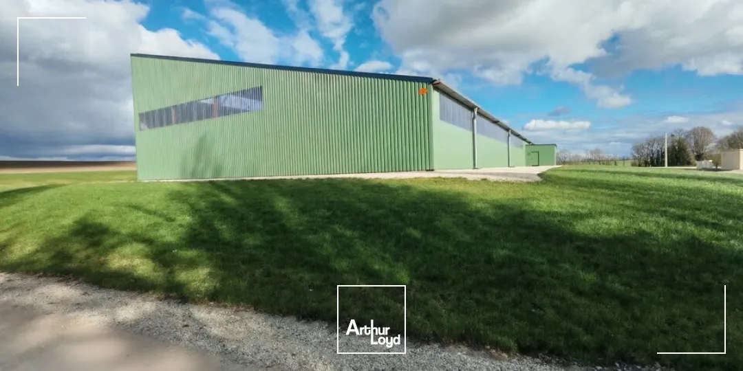 Locaux d'activité & Entrepôts - Location - ÉPENSE - 51330 - 2100-4500 - 7665156