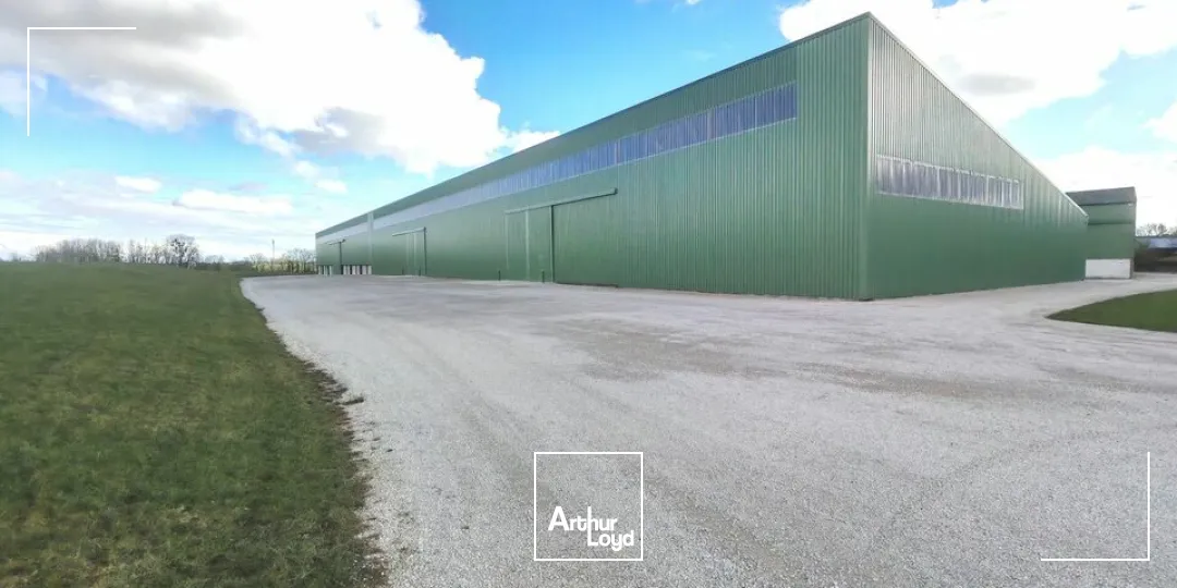 Locaux d'activité & Entrepôts - Location - ÉPENSE - 51330 - 2100-4500 - 7665153