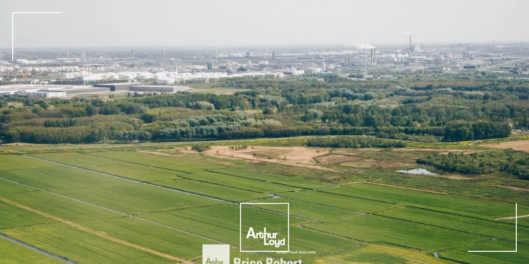 Terrains - Vente - CHASSELAY - 69380 - 7558-7558 - 7665920