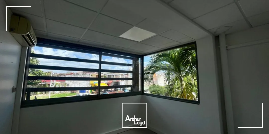 Bureaux - Vente - Capesterre Belle Eau - 97130 - 162-162 - 7665936