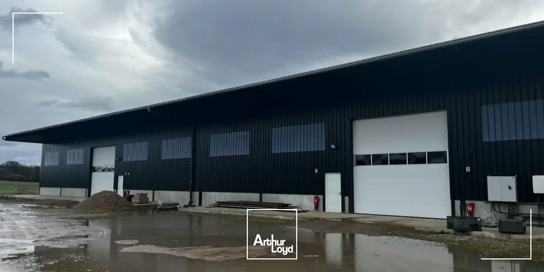 Locaux d'activité & Entrepôts - Location - HIPSHEIM - 67150 - 900-900 - 7666006