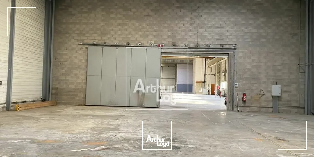 Locaux d'activité & Entrepôts - Location - LISSES - 91090 - 2816-2816 - 7666053