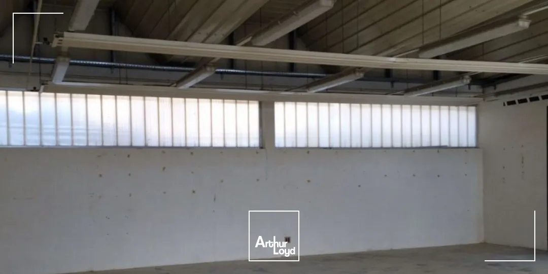 Locaux d'activité & Entrepôts - Location - VENDARGUES - 34740 - 225-225 - 7666199