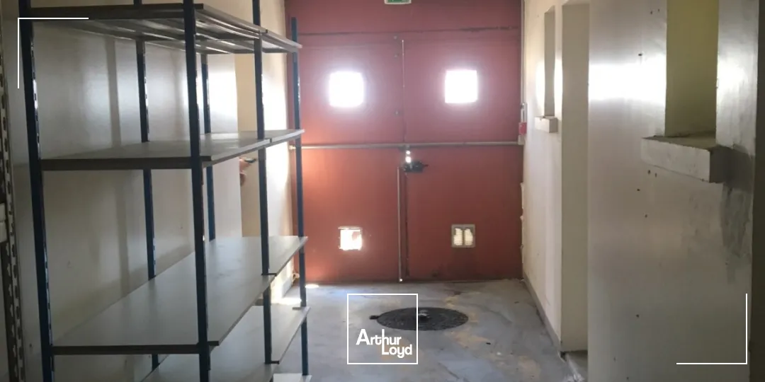 Locaux d'activité & Entrepôts - Location - VENDARGUES - 34740 - 148-148 - 7666201