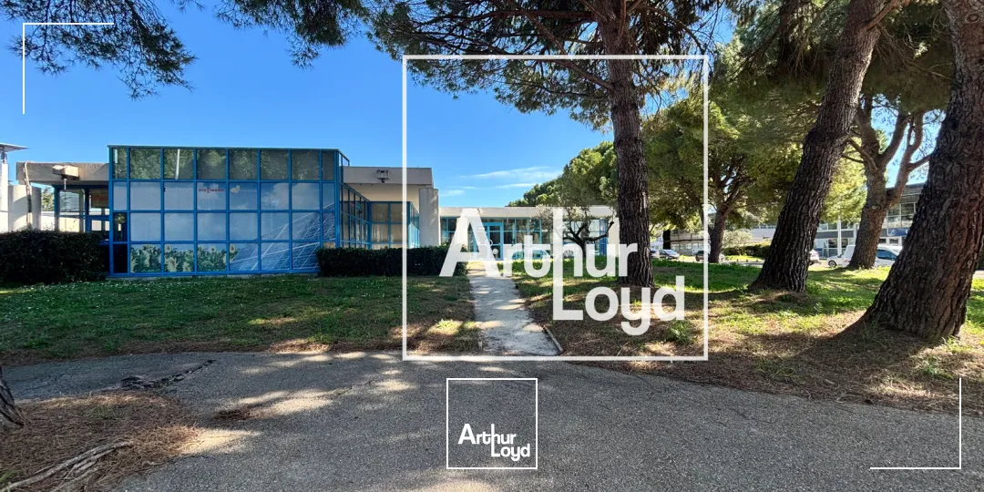 Locaux d'activité & Entrepôts - Location - NIMES - 30900 - 455-455 - 7666245