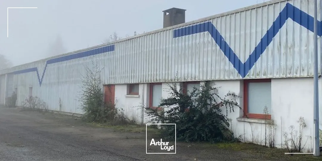 Locaux d'activité & Entrepôts - Vente - LOUDEAC - 22600 - 1000-1000 - 7666469