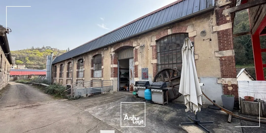 Locaux d'activité & Entrepôts - Vente - VIENNE - 38200 - 1600-1600 - 7666740