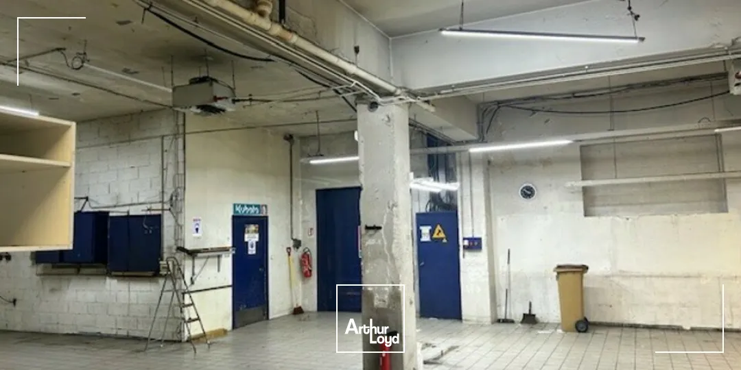 Locaux commerciaux - Vente - RIEDISHEIM - 68400 - 922-922 - 7667724