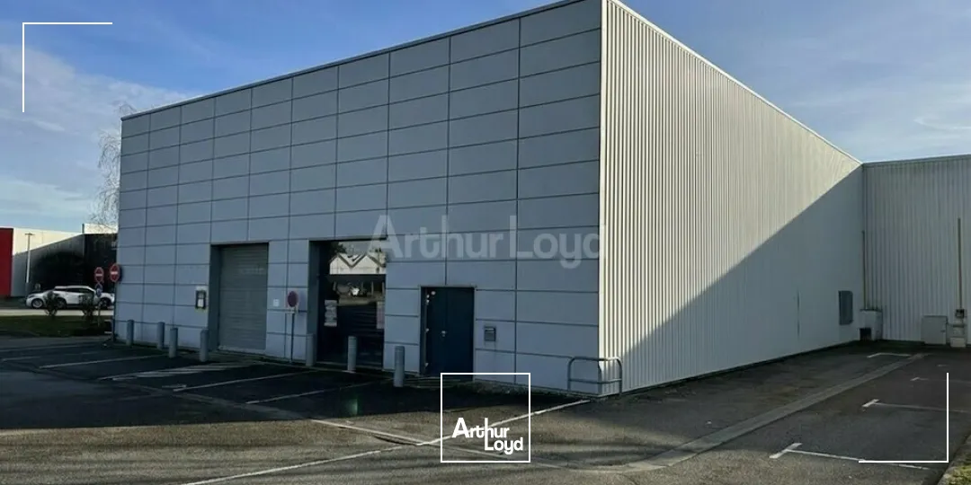 Locaux commerciaux - Location - WITTENHEIM - 68270 - 502-502 - 7667714