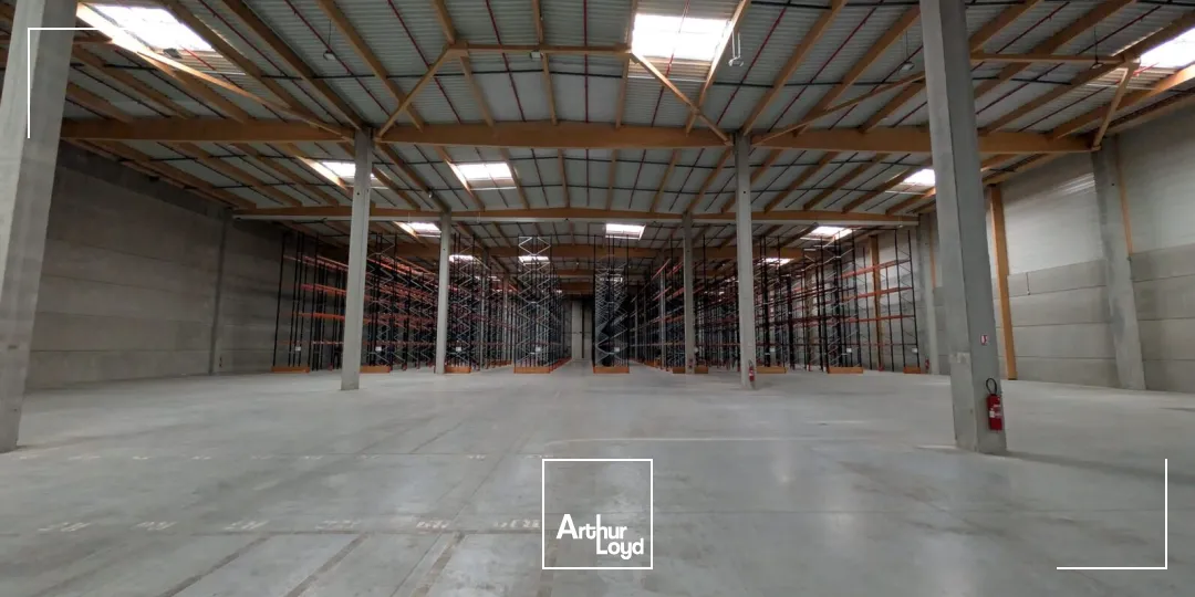 Locaux d'activité & Entrepôts - Location - LIMAY - 78520 - 6000-6000 - 7668537