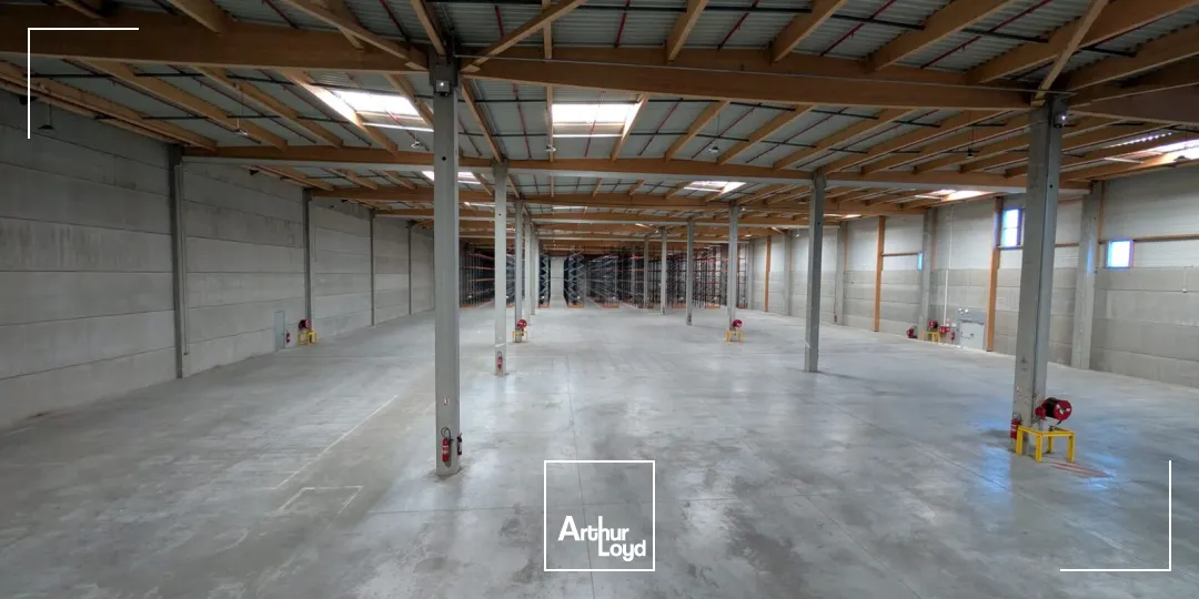 Locaux d'activité & Entrepôts - Location - LIMAY - 78520 - 6000-6000 - 7668539