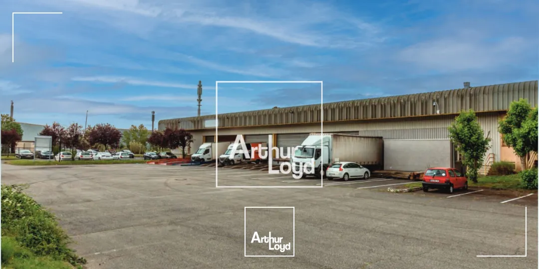 Locaux d'activité & Entrepôts - Location - CUGNAUX - 31270 - 3613-3613 - 7668615