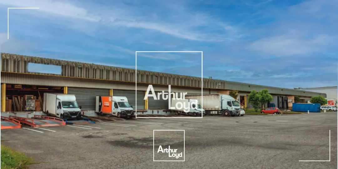 Locaux d'activité & Entrepôts - Location - CUGNAUX - 31270 - 3613-3613 - 7668614