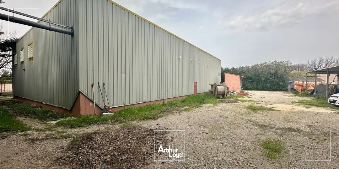 Locaux d'activité & Entrepôts - Location - SAINT VICTORET - 13730 - 590-590 - 7669052