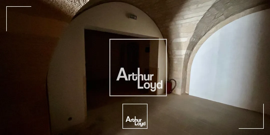 Locaux commerciaux - Location - MONTPELLIER - 34000 - 117-117 - 7669063