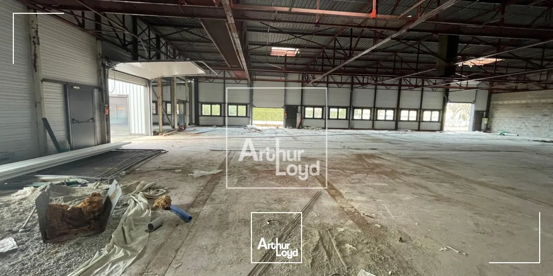 Locaux d'activité & Entrepôts - Vente - SAINT ETIENNE DE CROSSEY - 38960 - 764-764 - 7669139