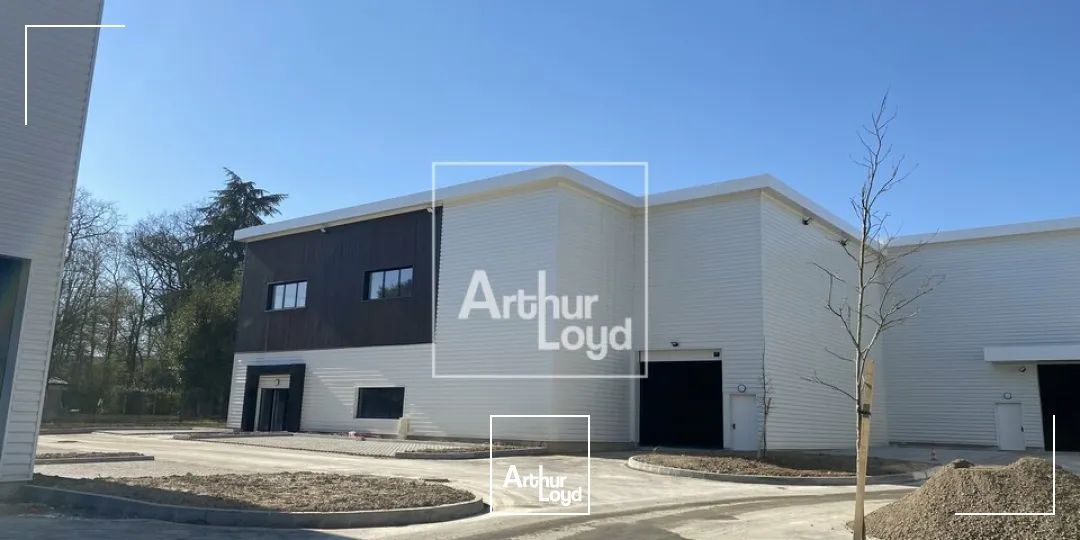 Locaux d'activité & Entrepôts - Vente - OLLAINVILLE - 91290 - 367-2540 - 7669793