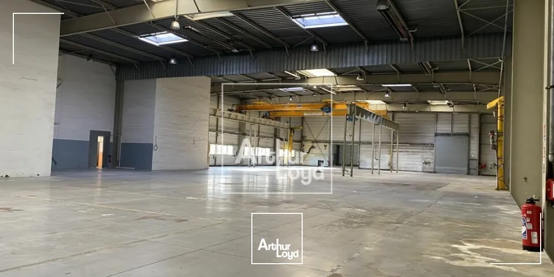 Locaux d'activité & Entrepôts - Location - LISSES - 91090 - 2816-2816 - 7669813