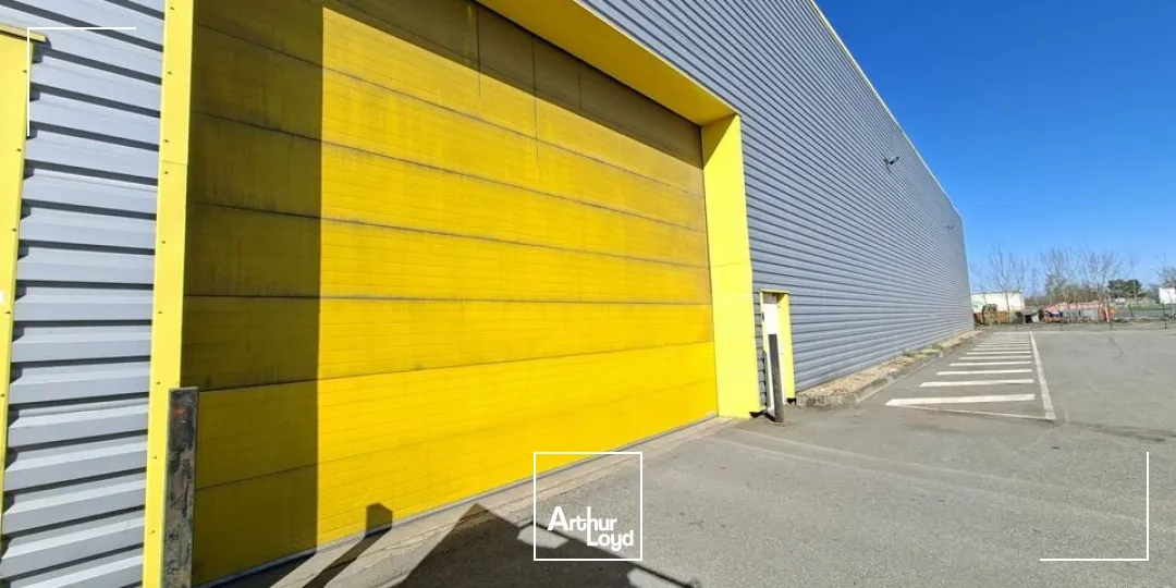 Locaux d'activité & Entrepôts - Location - CHAMPAGNE - 72470 - 3400-3400 - 7669862