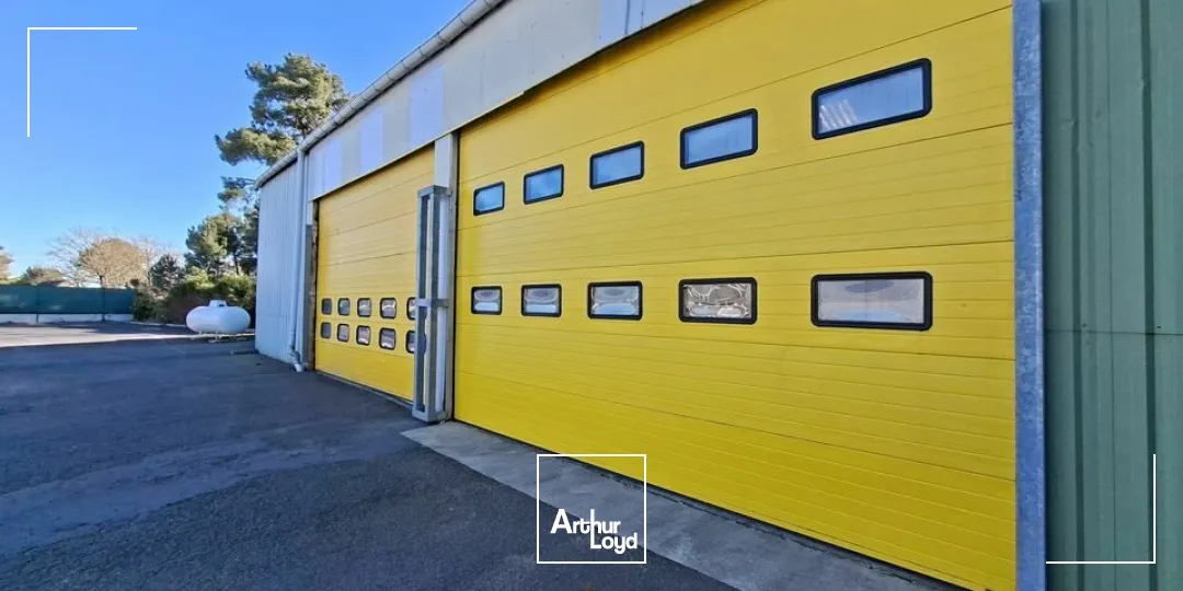 Locaux d'activité & Entrepôts - Location - CHAMPAGNE - 72470 - 950-950 - 7669867