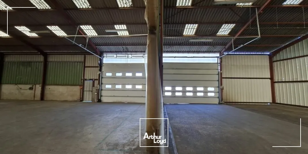 Locaux d'activité & Entrepôts - Location - CHAMPAGNE - 72470 - 950-950 - 7669869