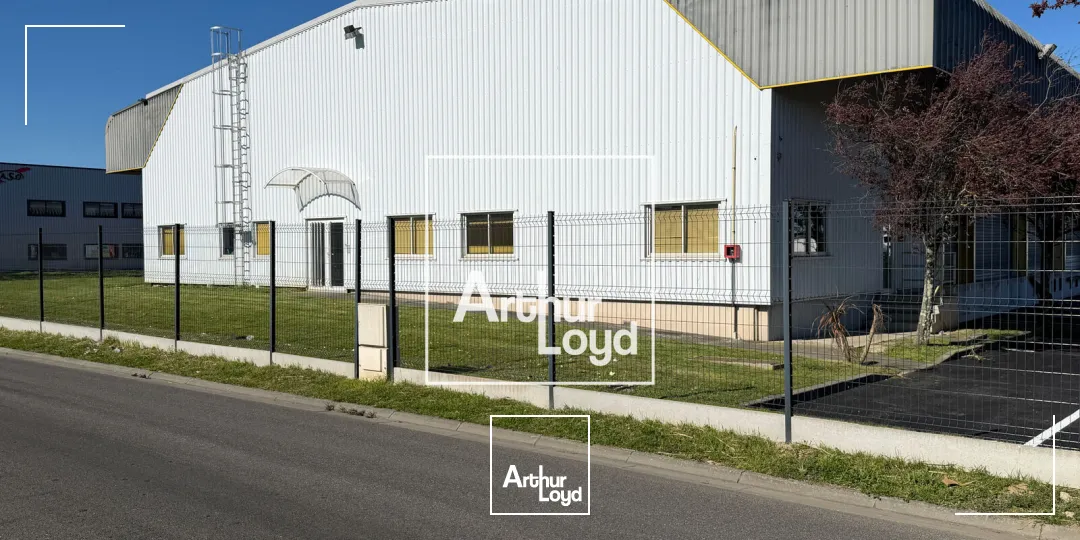 Locaux d'activité & Entrepôts - Location - CUGNAUX - 31270 - 3613-3613 - 7670380