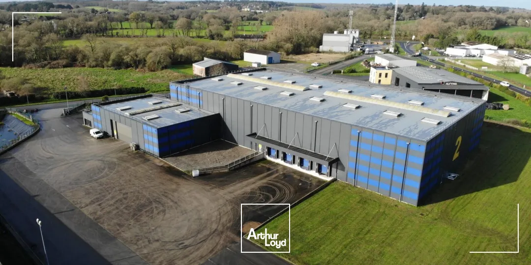 Locaux d'activité & Entrepôts - Vente - REDENE - 29300 - 3647-3647 - 7670779