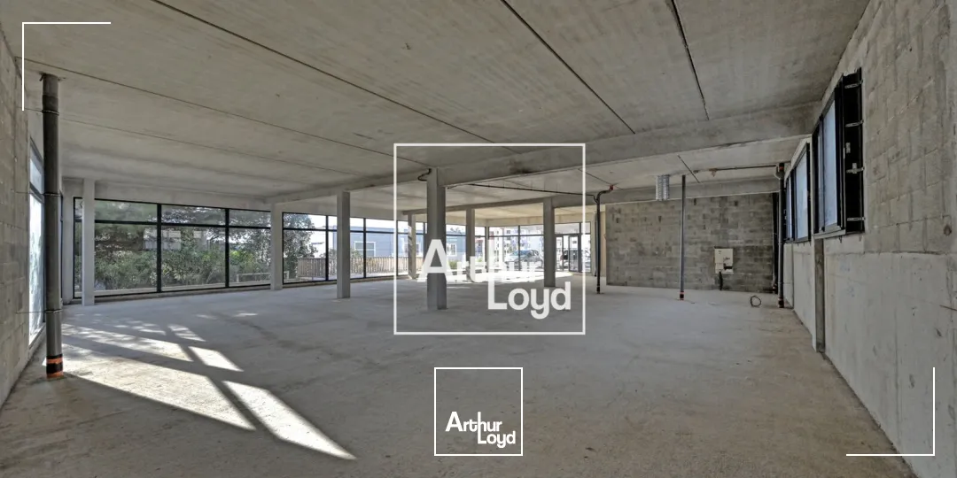 Locaux commerciaux - Location - LATTES - 34970 - 306.3-306.3 - 7671690