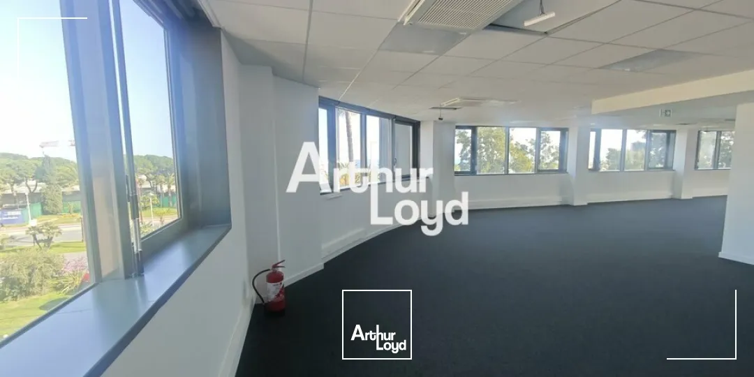 Bureaux - Location - NICE - 06000 - 275-1712 - 7673157