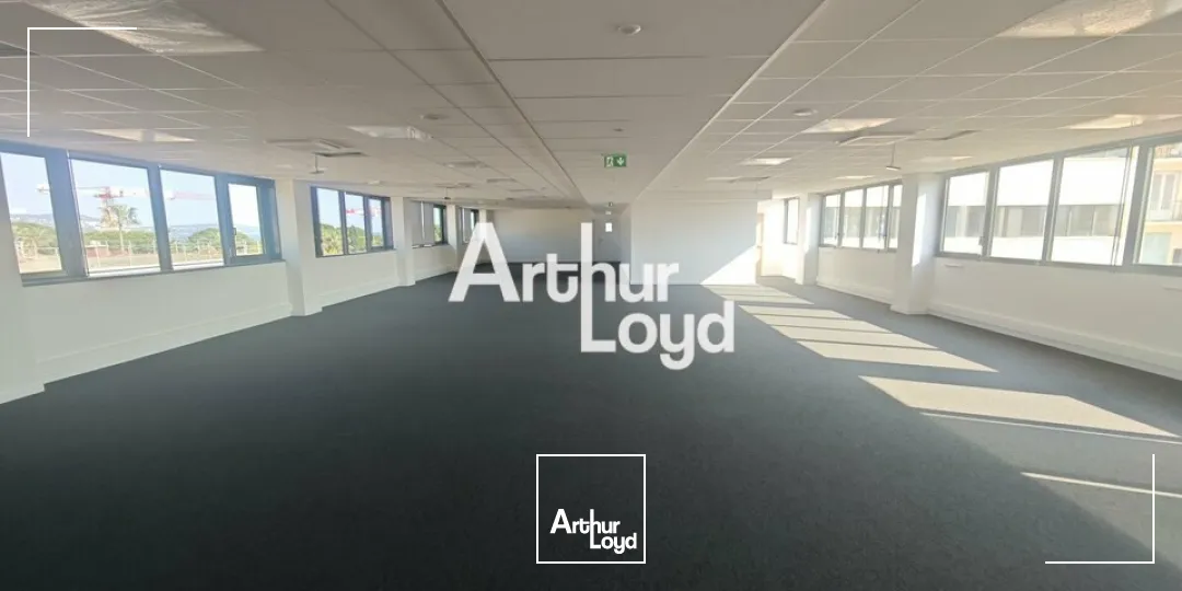 Bureaux - Location - NICE - 06000 - 275-1712 - 7673162