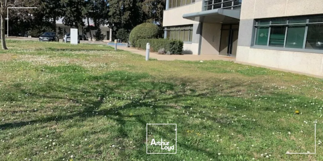 Bureaux - Location - MONTFAVET - 84140 - 365-365 - 7673175