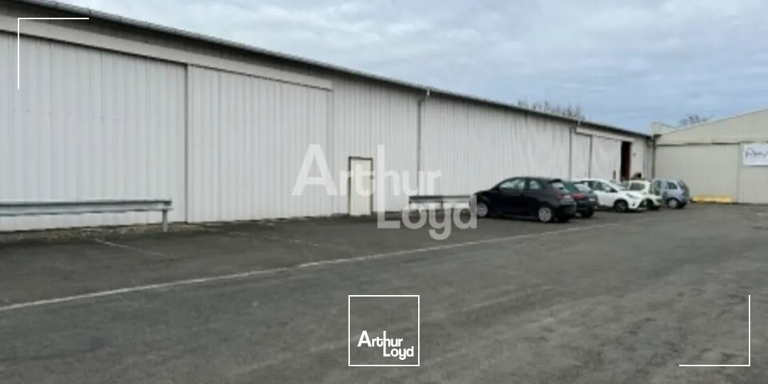 Locaux d'activité & Entrepôts - Location - TRELAZE - 49800 - 450-450 - 7673273