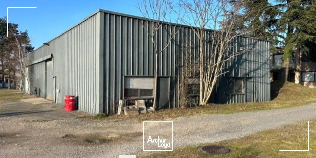 Locaux d'activité & Entrepôts - Location - RILLIEUX LA PAPE - 69140 - 450-450 - 7674254