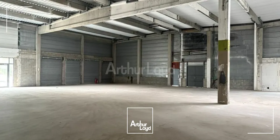 Locaux commerciaux - Location - LAMPERTHEIM - 67450 - 638.57-638.57 - 7674384