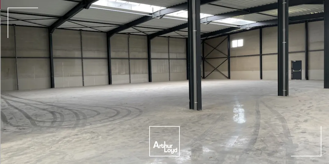 Locaux d'activité & Entrepôts - Vente - CAPPELLE LA GRANDE - 59180 - 172-3168 - 7674872