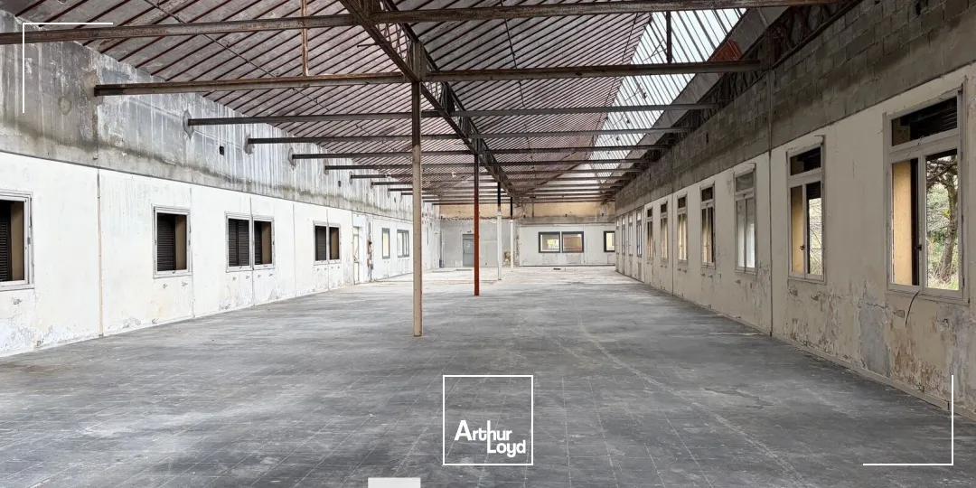 Locaux d'activité & Entrepôts - Vente - VENISSIEUX - 69200 - 1954-1954 - 7675156