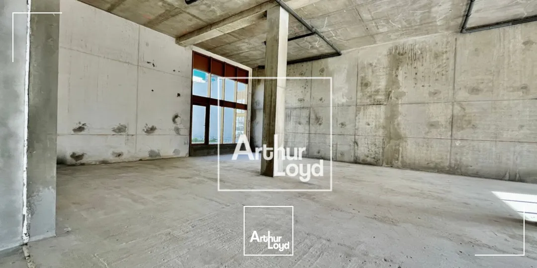 Locaux commerciaux - Location - MONTPELLIER - 34000 - 268-268 - 7675429