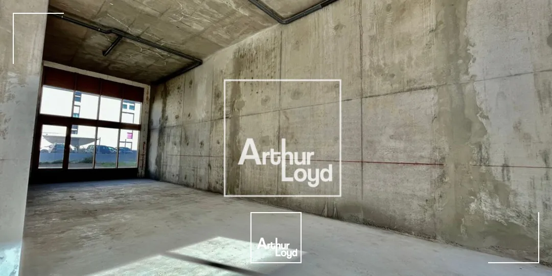 Locaux commerciaux - Location - MONTPELLIER - 34000 - 268-268 - 7675433