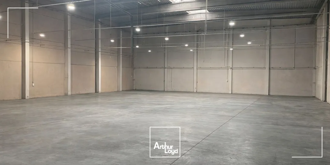 Locaux d'activité & Entrepôts - Vente - ROUVIGNIES - 59220 - 4732-4732 - 7675777