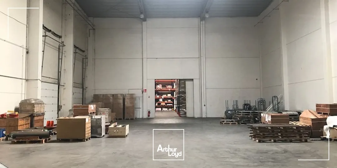 Locaux d'activité & Entrepôts - Vente - ROUVIGNIES - 59220 - 4732-4732 - 7675780