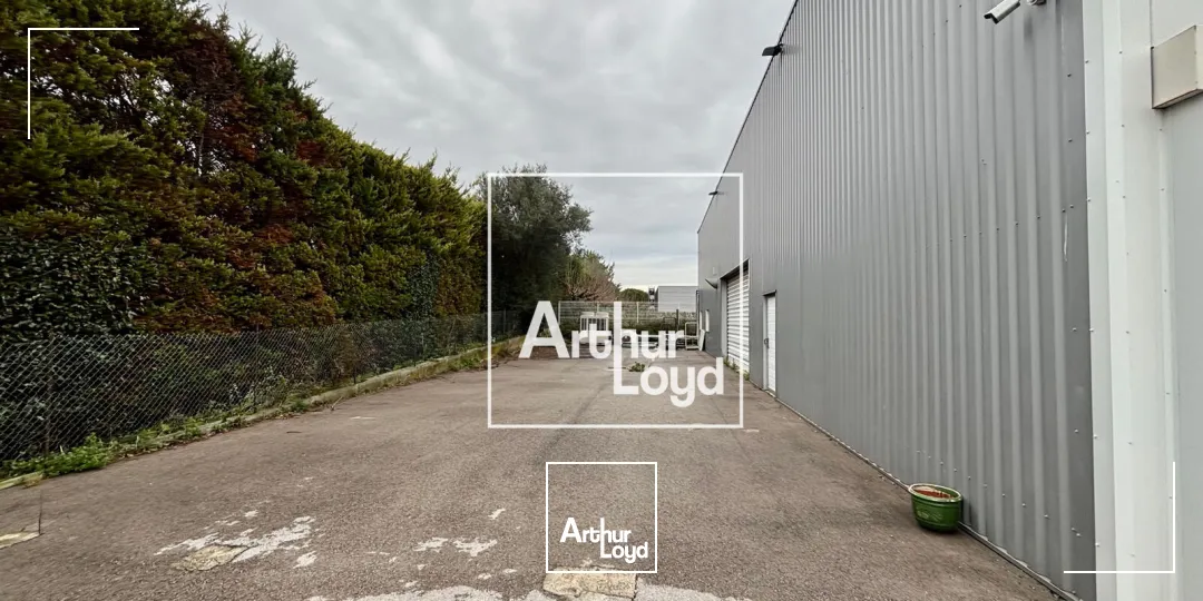 Locaux d'activité & Entrepôts - Vente - MONTPELLIER - 34070 - 1300-1300 - 7676446